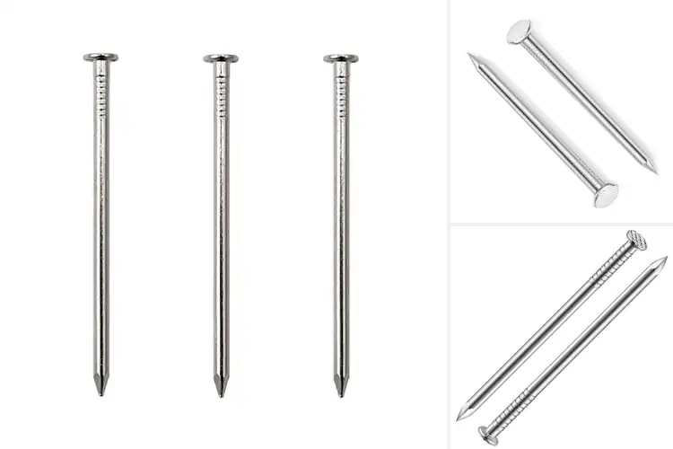 Detailed view of Best 1 to 2.5 Inch Nails for Strong, Lasting Hold