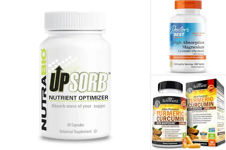 Detailed view of Best Absorption Supplements