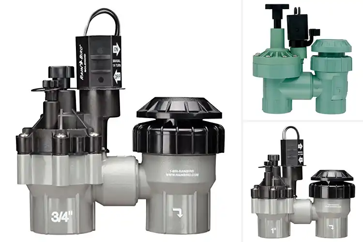 Detailed view of Best Anti-Siphon Sprinkler Valves