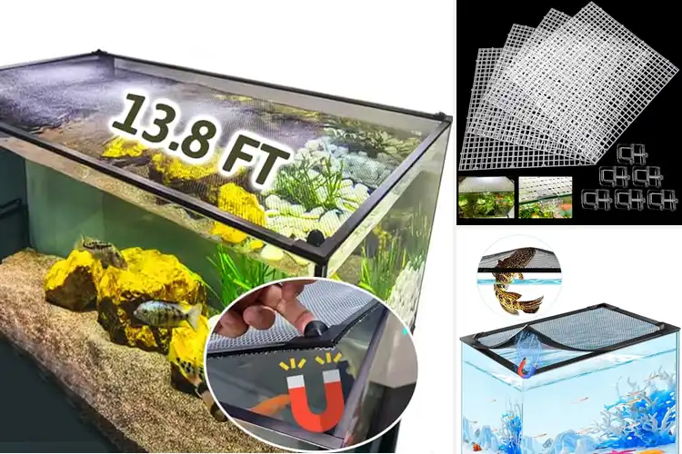 Detailed view of Best Diy Aquarium Lids: Top 10 Picks for Safety & Style