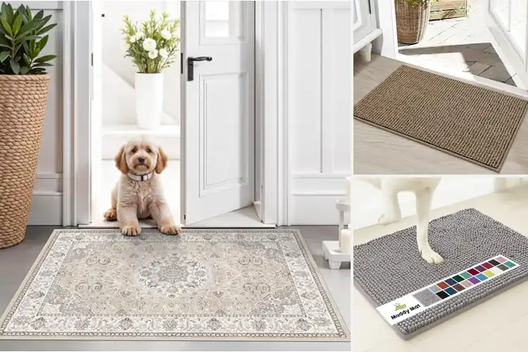 Detailed view of Best Entryway Rugs
