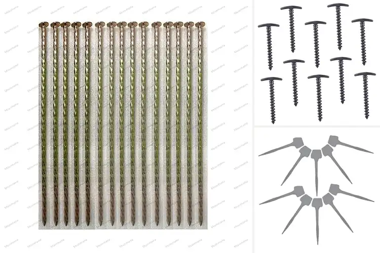 Detailed view of Best high-strength nails for secure fixation